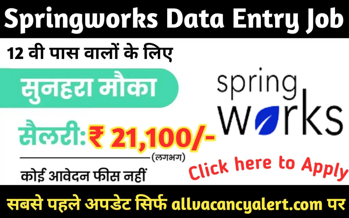 Springworks Data Entry Job